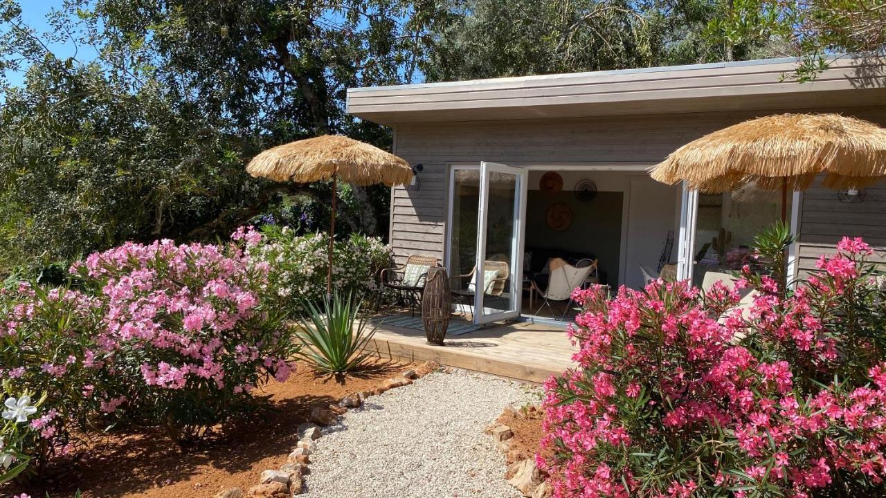 בנאגיל Casa Sereno מראה חיצוני תמונה