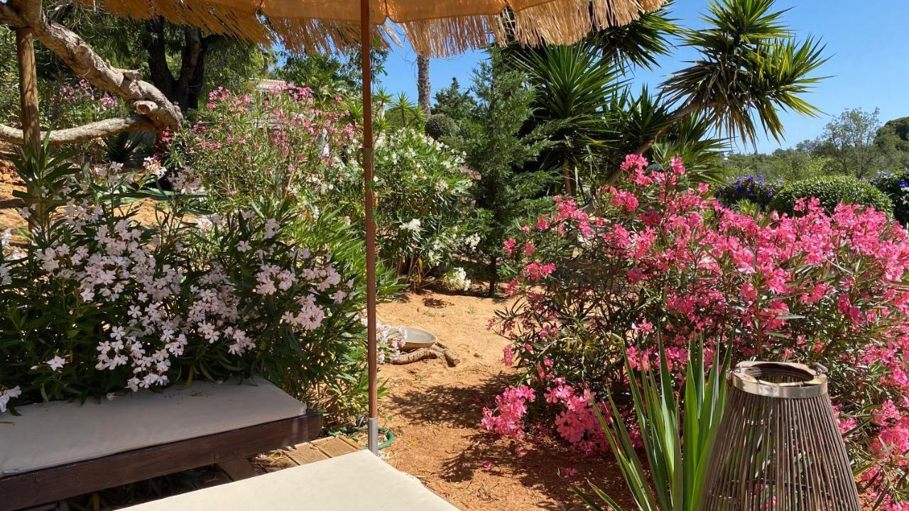 בנאגיל Casa Sereno מראה חיצוני תמונה