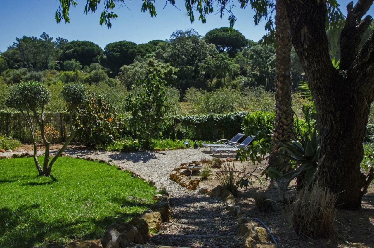 בנאגיל Casa Sereno מראה חיצוני תמונה